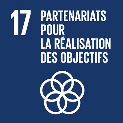 //www.tecica.com/wp-content/uploads/2023/12/odd-17-partenariats-pour-la-realisation-des-objectifs.png