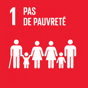 https://www.tecica.com/wp-content/uploads/2023/12/odd-01-pas-de-pauvrete-300x300.png