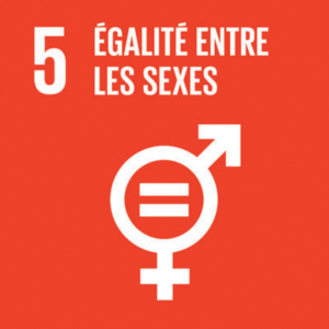 https://www.tecica.com/wp-content/uploads/2023/12/odd-05-egalite-entre-les-sexes-300x300.png