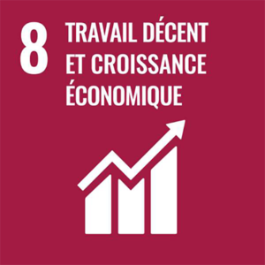 https://www.tecica.com/wp-content/uploads/2023/12/odd-08-travail-decent-et-croissance-economique-300x300.png